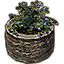 Breton Planter, Blue Ivy