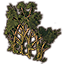 Dawnwood Divider, Sprouted