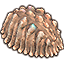 Southern Sea Trilobite Shell, Large