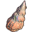 Solstice Shell, Fossilized Turritella