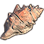 Solstice Shell, Fossilized Conch