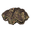 Giant Clam, Ancient