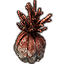 Tide-Born Ornament, Painted Coral
