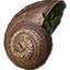Snail, Display