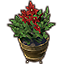 Stormhaven Potted Plant, Poinsettia
