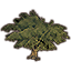 Tree, Giant Swampshadow