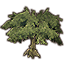 Tree, Swampshadow