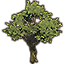 Tree, Braided Dawnwood