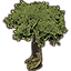 Tree, Giant Dawnwood Canopy