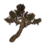 Tree, Sturdy Crabapple