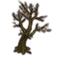 Tree, Ancient Rotten