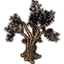 Tree, Ancient Dead Oak