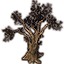 Tree, Large Ancient Dead Oak