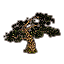 Tree, Ancient Cedar