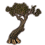 Tree, Hardened Juniper