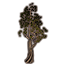 Tree, Sturdy Juniper