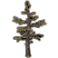 Tree, Broad Wrothgar Pine
