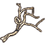 Driftwood, Spindly