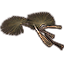 Leaf Pile, Thatch Palm