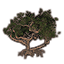 Tree, Solitary Mangrove