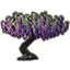 Tree, Purple Wisteria