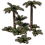 Tree Ferns, Cluster