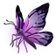 Target Butterfly, Ephemeral Mara's Blush