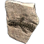 Fossil, Giant Sea Beast Head