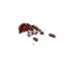 Ichor Splatter