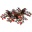 Flowers, Large Rose Ivy Patch