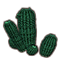 Cactus, Stocky Columnar