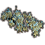 Bush, Cave Lichen Cluster