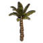 Plant, Marsh Palm