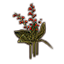 Flower, Red Honeysuckle
