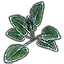 Plant, Cerulean Spadeleaf