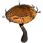 Mushroom, Giant Clawcap Cluster