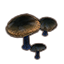 Mushrooms, Auridon Group
