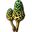 Mushroom, Tall Green Morel Pair