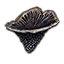 Mushroom, Cave Bracket