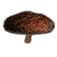 Mushroom, Netch Shield Platform