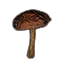 Mushroom, Netch Shield Tower