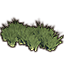 Mammoth Grass, Patch