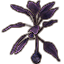 Plant, Corrupted Fanik Goc