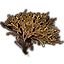 Kelp Shelf, Small Brown