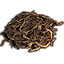 Kelp, Small Brown Pile