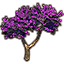 Sapling, Violet Branched Summertide