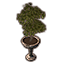 Alinor Potted Plant, Double Tiered