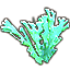 Elkhorn Coral, Verdant Sapling